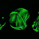 Imagen que muestra las diferentes formas de ciertos polímeros. Por Mahetab Amer – Universidad de Nottingham. (Imagen: EPSRC)